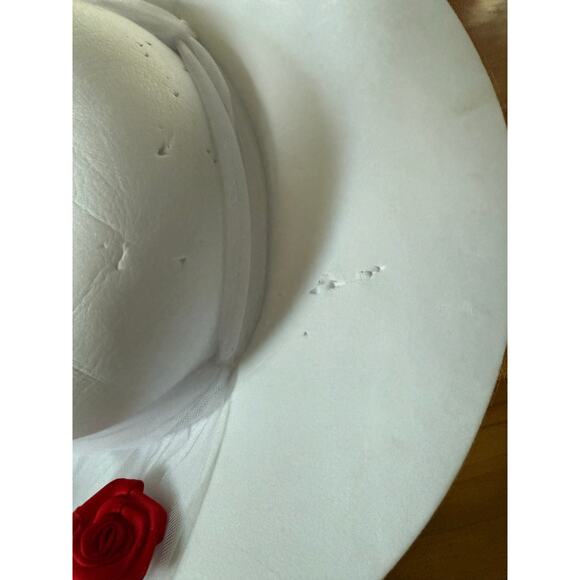 Disney Mary Poppins costume white dres with red roses - Picture 10 of 15